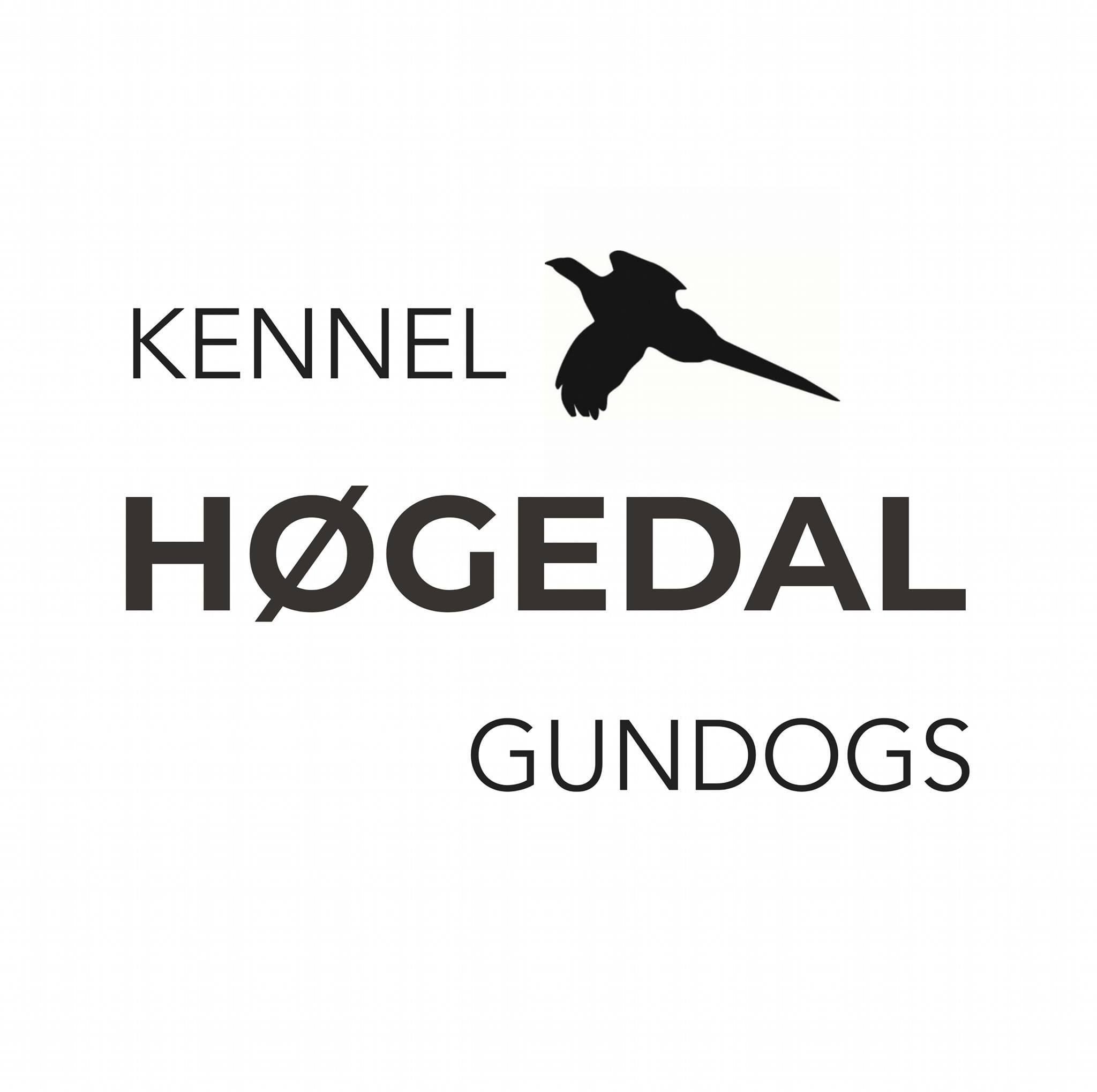 Høgedal gundog