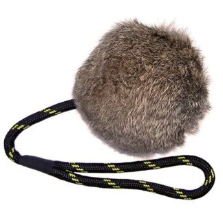 Kaninbolde